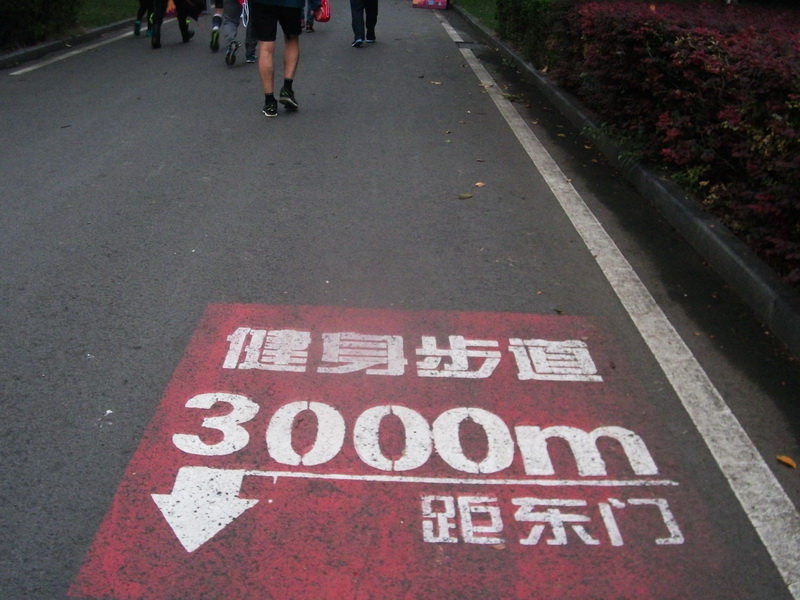 dscf0043.jpg