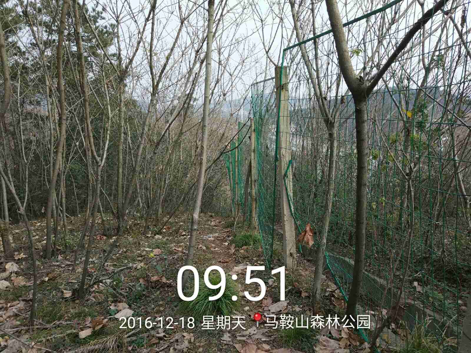 qqͼƬ20161221142229.jpg