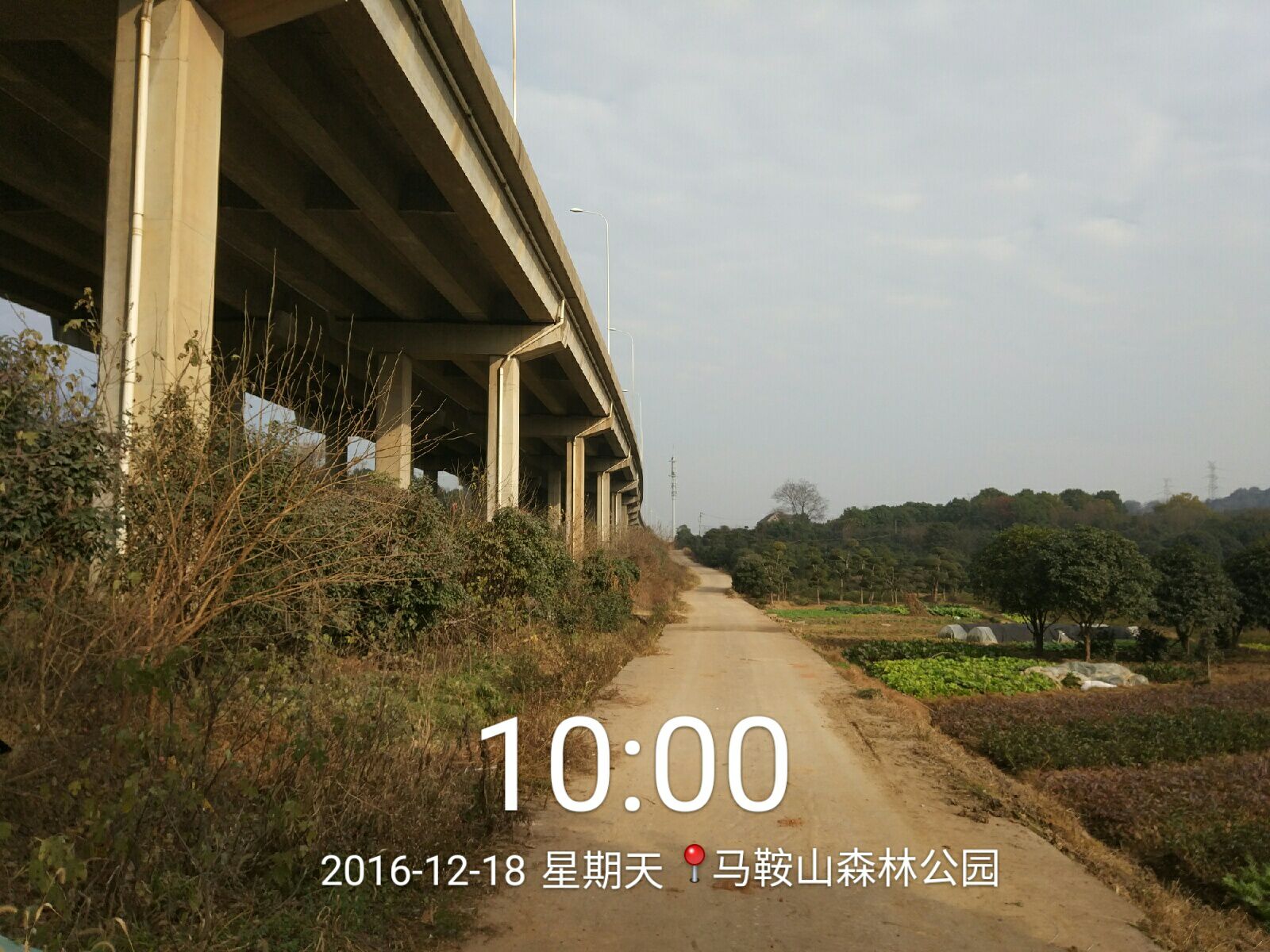 qqͼƬ20161221142232.jpg