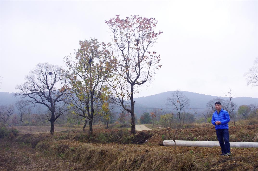 _igp9199.jpg