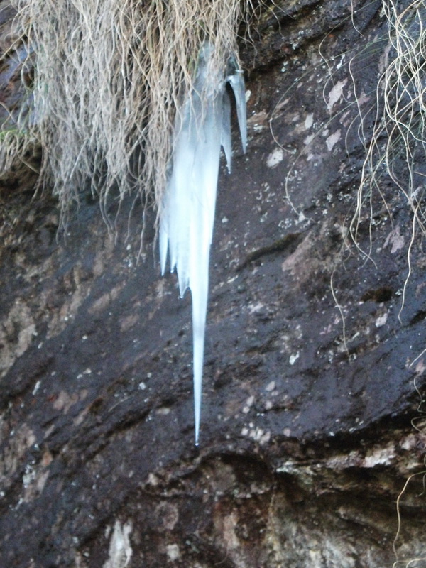 dscf0613.jpg