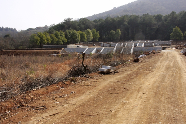 _mg_8018.jpg
