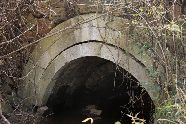 _mg_8111.jpg