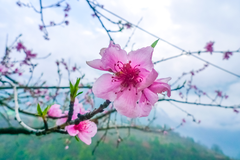 云南2.8-32.jpg