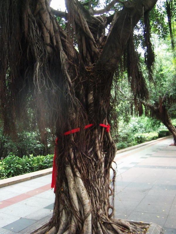 dscf0708.jpg