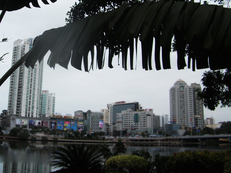 dscf0709.jpg