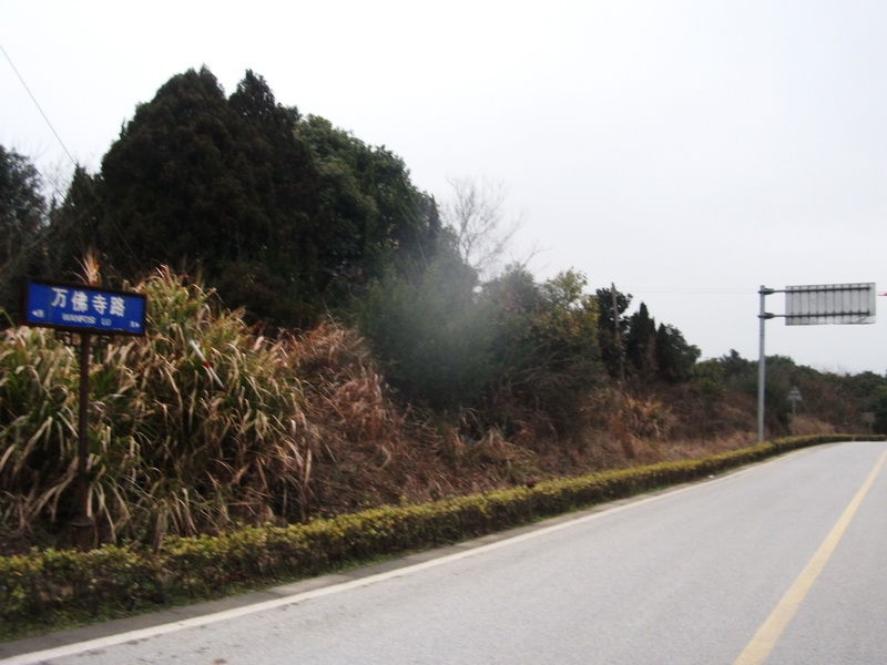 dscf0490.jpg