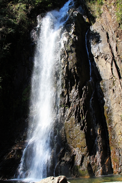 img_1599.jpg