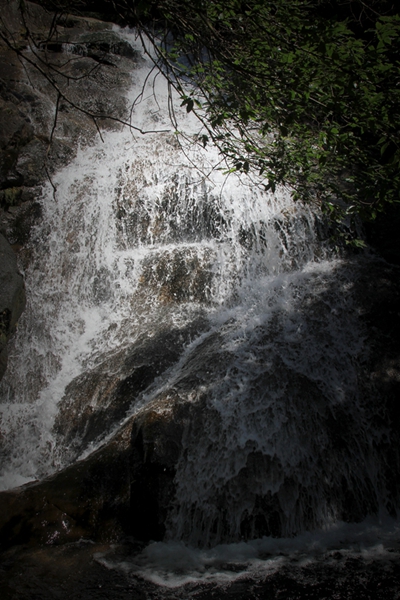 img_1667.jpg
