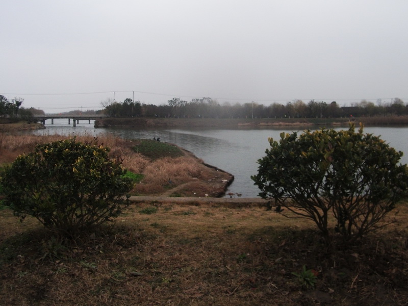dscf0492.jpg