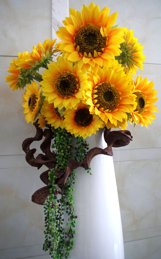 imgp8510.jpg