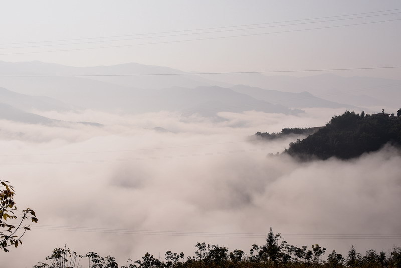 dsc_2875.jpg