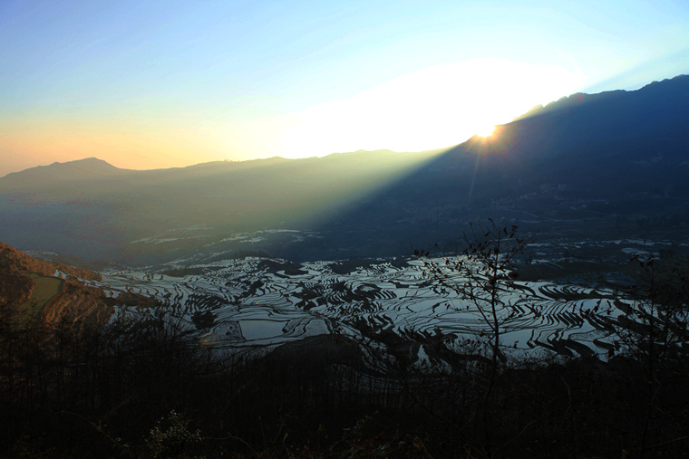 img_3746_.jpg