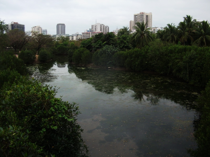 dscf0723.jpg