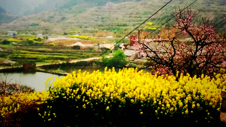 20160320_134921-01.jpeg.jpg