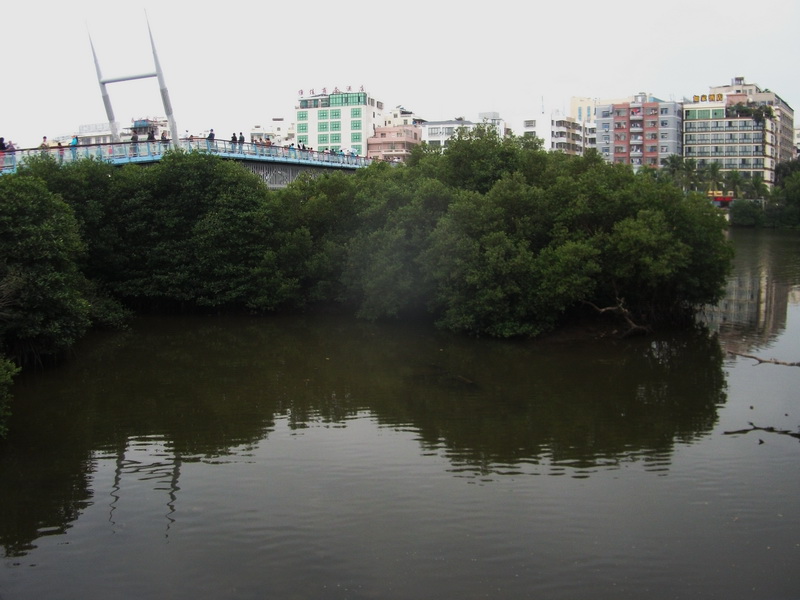 dscf0728.jpg