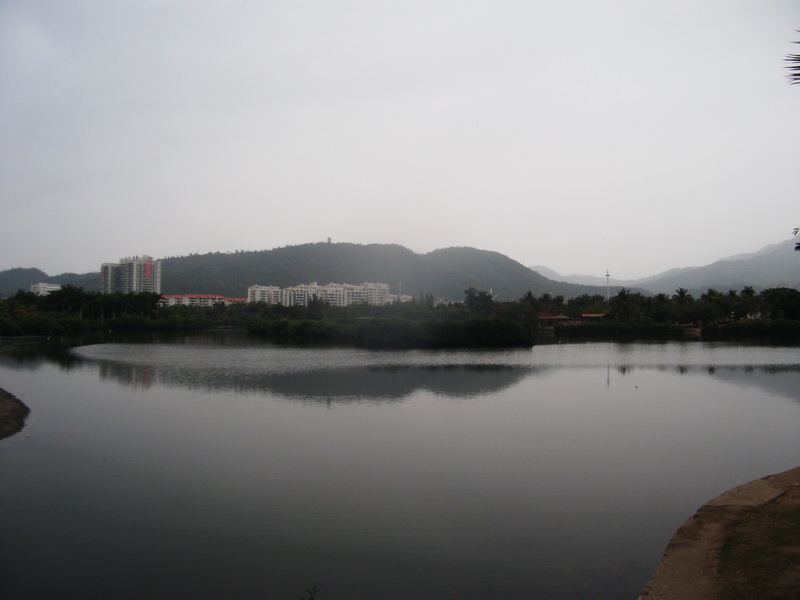 dscf0729.jpg