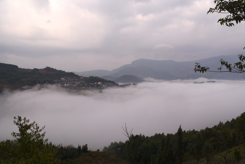 dsc_2956.jpg