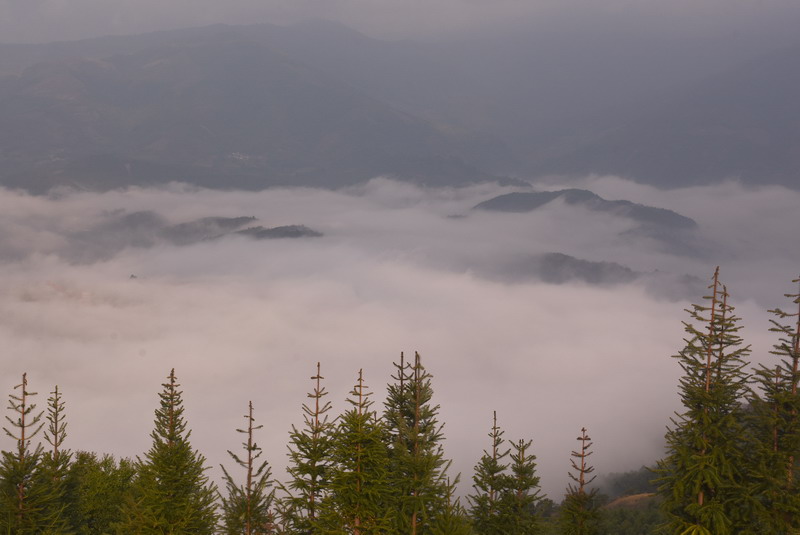 dsc_2966.jpg