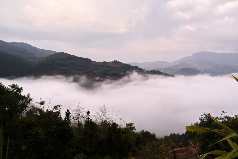 dsc_2960.jpg