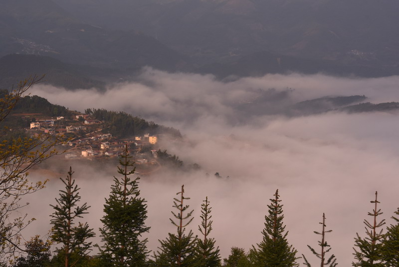 dsc_2971.jpg