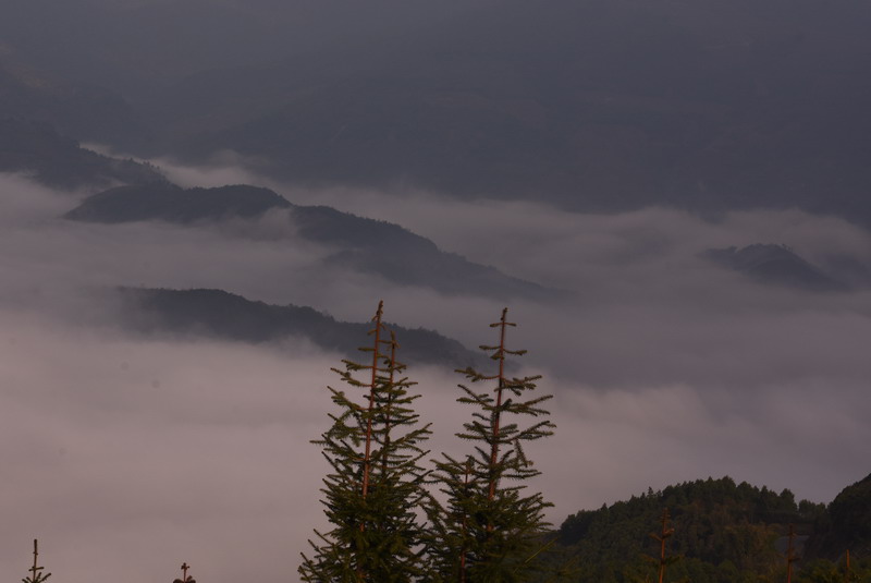 dsc_2976.jpg
