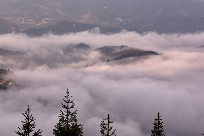 dsc_2991.jpg