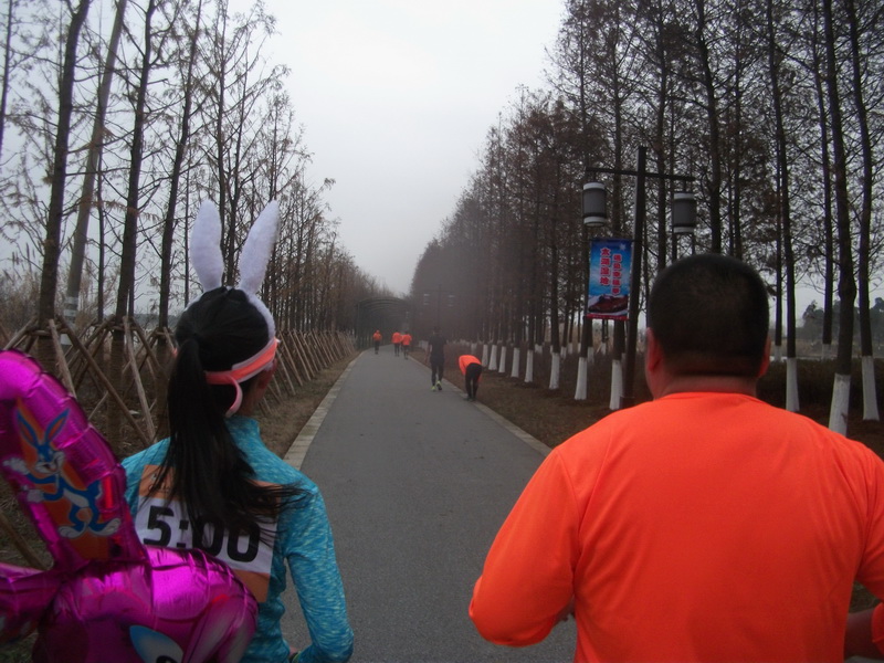 dscf0506.jpg