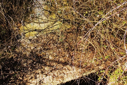 _mg_8073.jpg