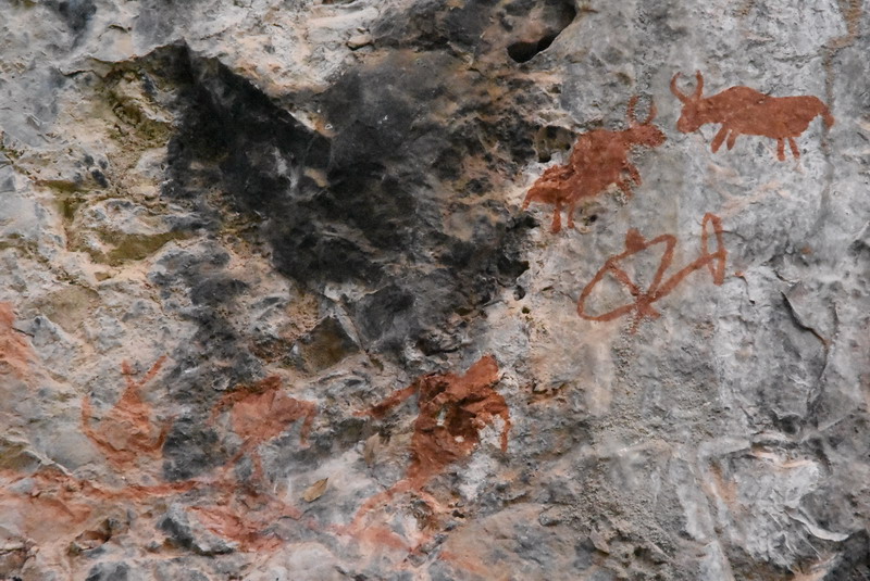 dsc_3087.jpg