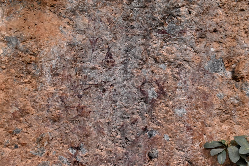 dsc_3100.jpg