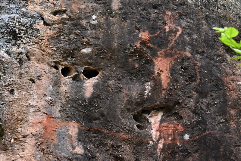 dsc_3102.jpg
