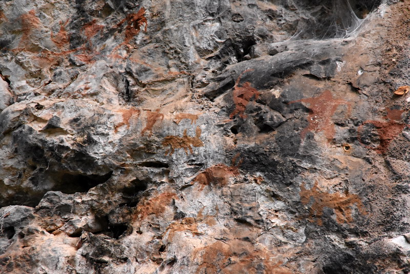 dsc_3113.jpg