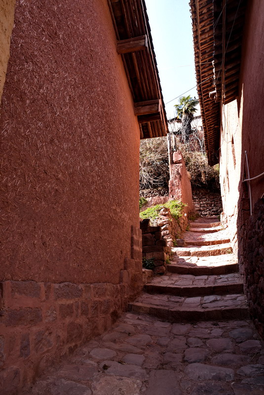 dsc_3422.jpg