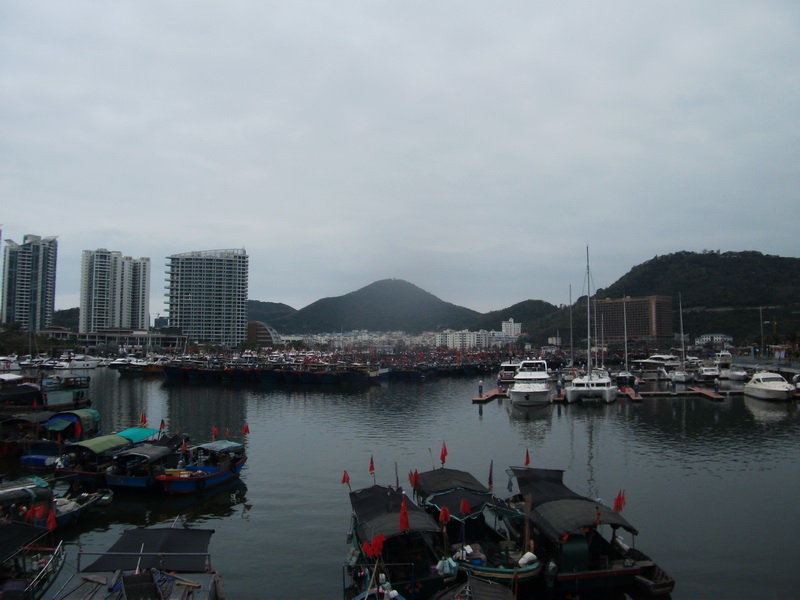 dscf0704.jpg