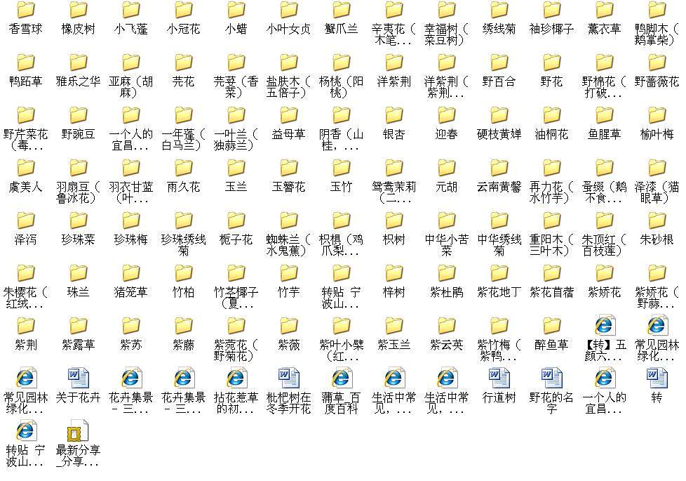4.jpg