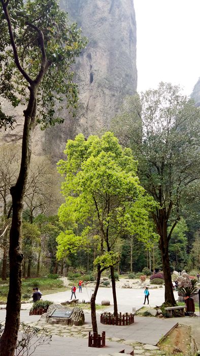 20160402_102716.jpg
