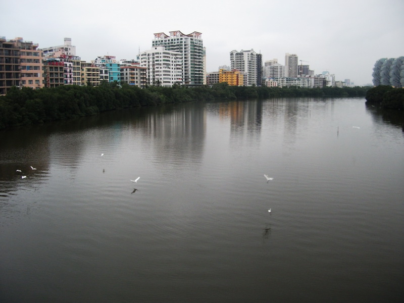 dscf0731.jpg