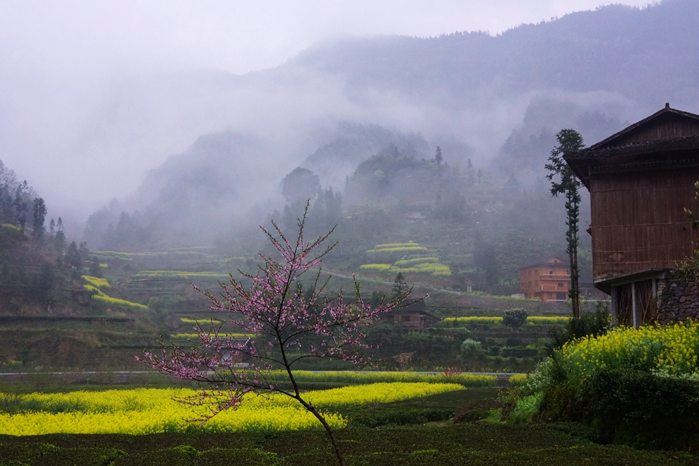 雨中漫步 小溪-马鹿河07.jpg