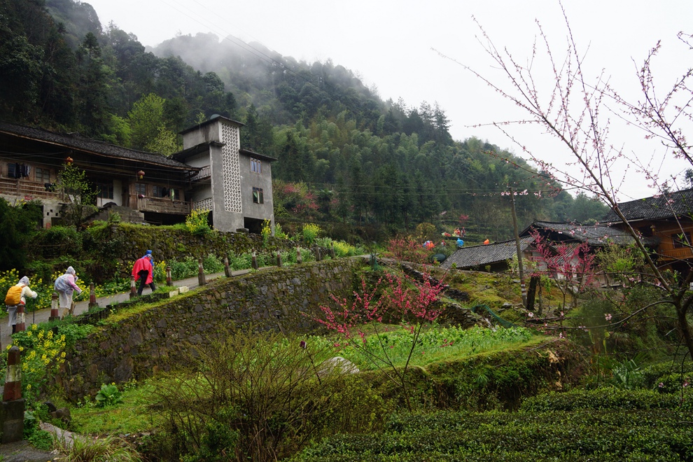雨中漫步 小溪-马鹿河25.jpg