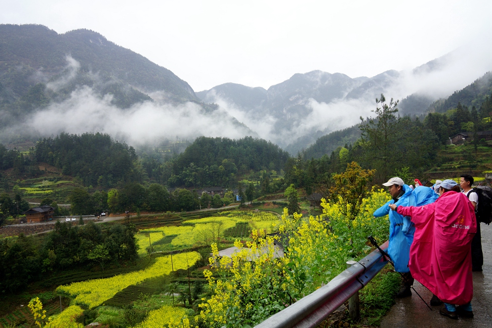 雨中漫步 小溪-马鹿河31.jpg