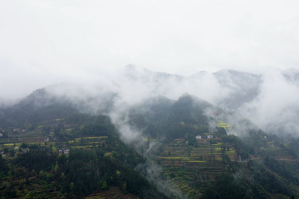 雨中漫步 小溪-马鹿河50.jpg
