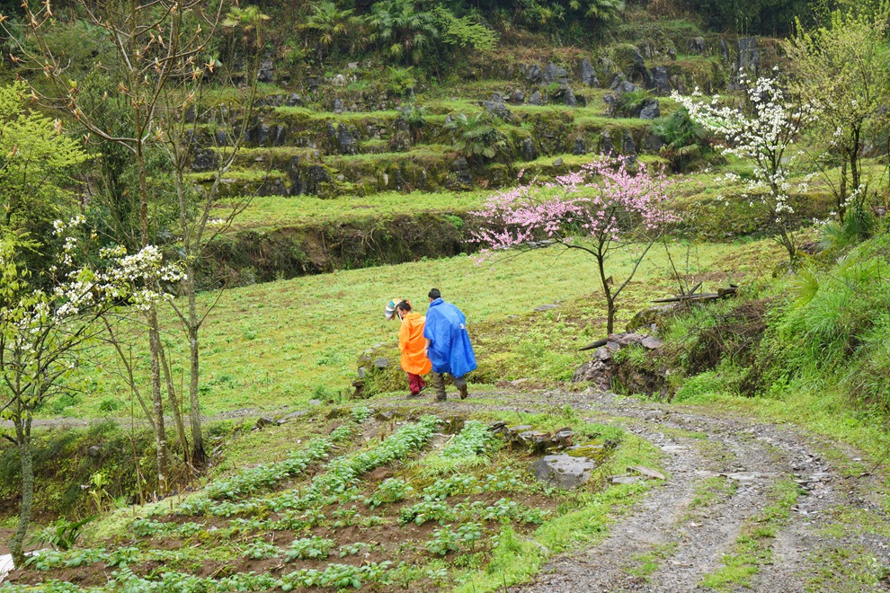 雨中漫步 小溪-马鹿河54.jpg