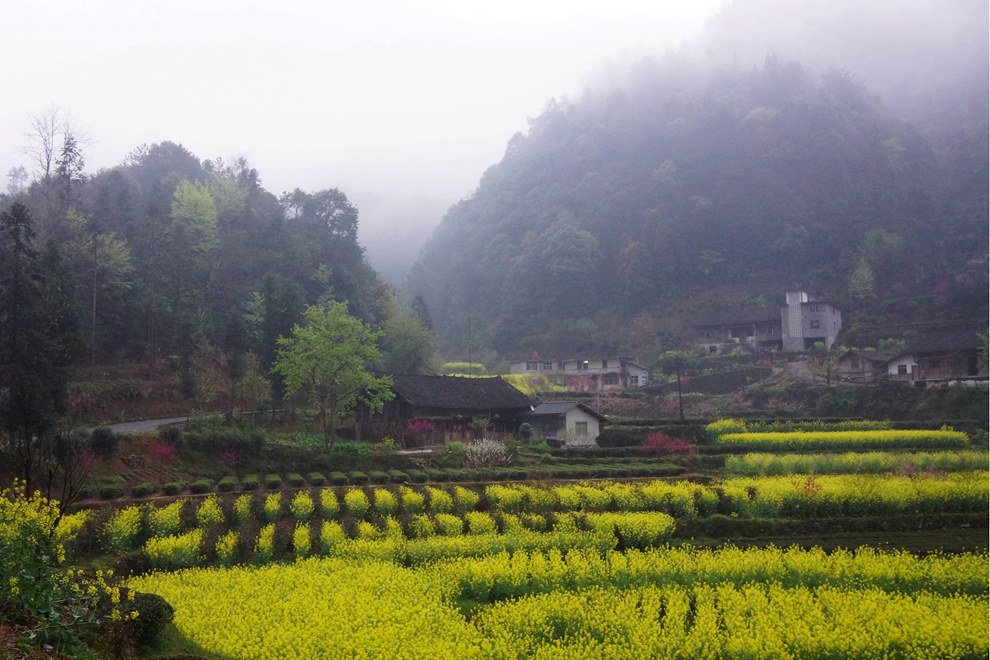 雨中漫步 小溪-马鹿河08.jpg