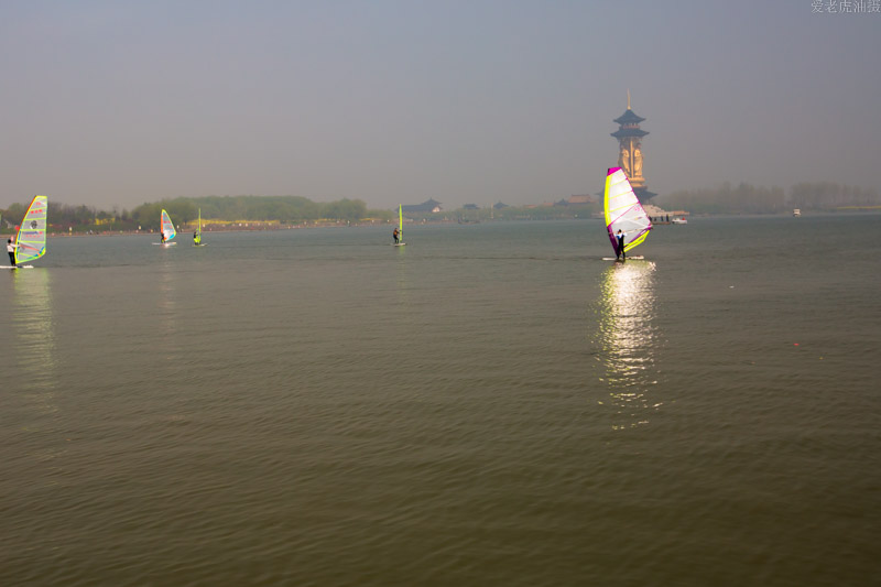 img_4439.jpg