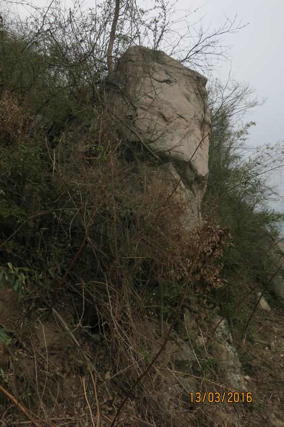 03.jpg