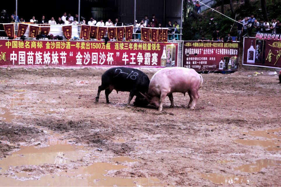 qqͼƬ20160426192428.jpg