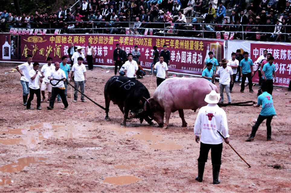 qqͼƬ20160426192433.jpg