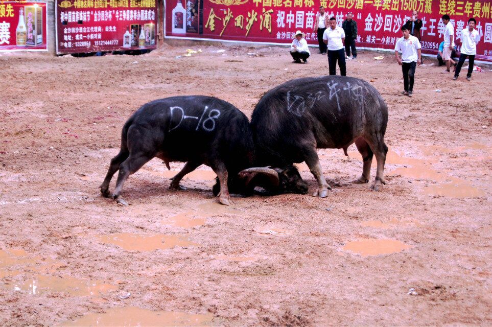 qqͼƬ20160426192455.jpg