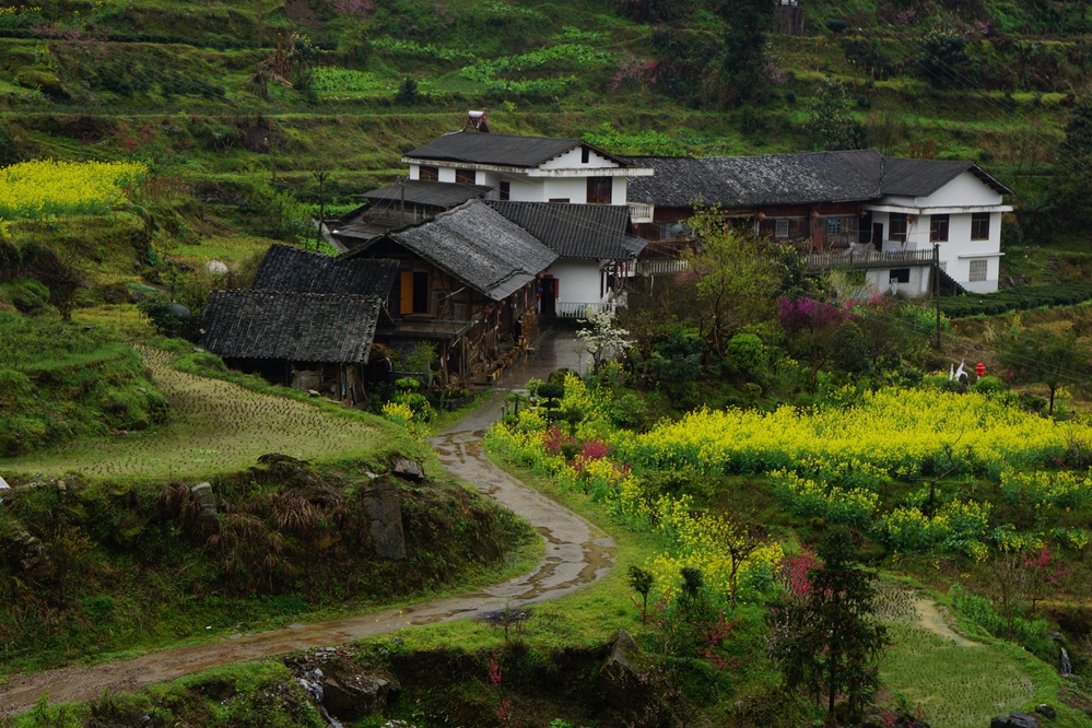 小溪-马鹿河08.jpg